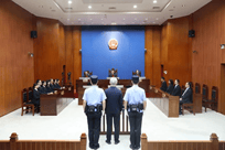 因参与违法犯罪活动 许家印两个儿子一审被判有期徒刑