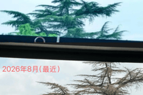 苏州老树疑遭"钻孔灌药"最新进展