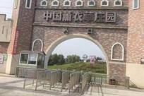 消亡前夜：洛阳一座4A级景区的六年五次拆除调查