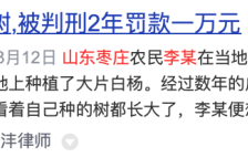 农村水不许私自取，自家树不许随便砍，为何涉嫌违法还会罚款？
