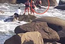 山东青岛一公园海边涨潮风大浪急，男子为救落水儿子不幸溺亡