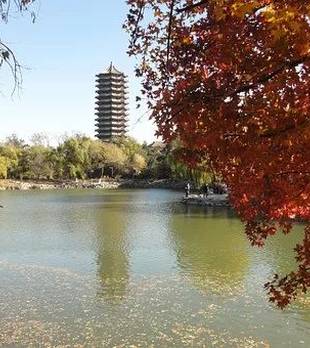 最全中国知识，终于找齐了！赶紧收藏！为什么两口子，越过越冷清（说得真好，建议夫妻都看看）