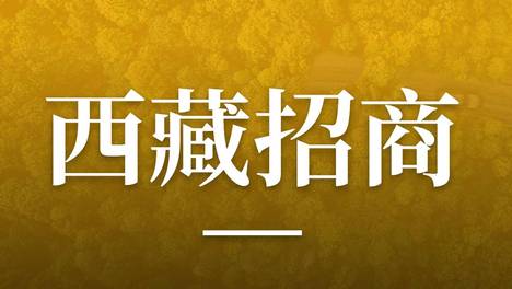 西藏招商引资出“新招”，为何引发众多热议？
