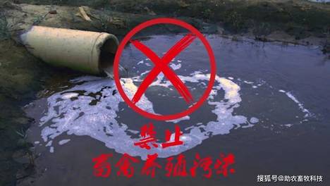2026年养殖行业迎来 “史上最严” 环保新规，微生物技术成污染治理核心方向，几乎无需增加设施处理成本低