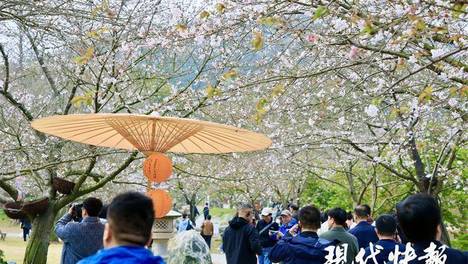 2026全国地方媒体总编辑看无锡｜以花为媒联通世界 文旅向新点亮太湖明珠