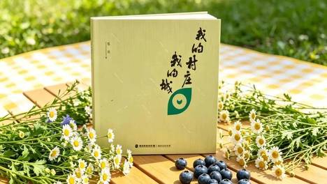 笔间《我的村庄我的城》｜写给每一个在故乡与城市之间漂泊的人