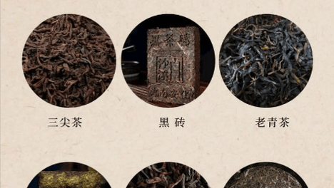 我国的茶叶名品分类
