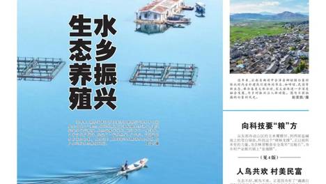 《市场信息报·乡村振兴周刊》最新内容