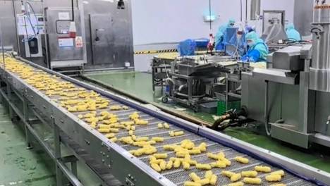 速冻调理品油炸冷却生产线选型指南｜鱼饼、鳕鱼条专用冷却设备搭配方案