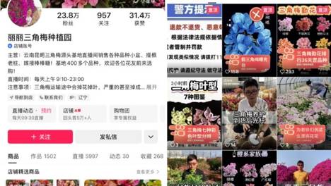 把三角梅卖到西藏：快手电商里的小商家，和他们的慢生意