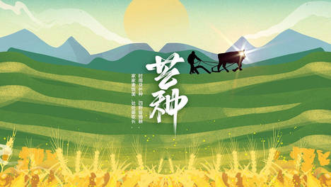 今日芒种，无论多忙，别忘吃这4样，健脾养阳增免疫，精力充沛度夏