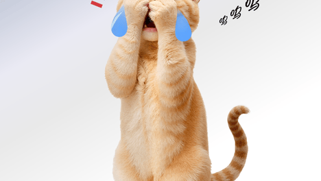 2026十大优质猫粮榜单速看，618高人气猫粮囤货指南！