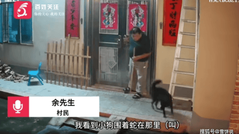 半夜两条狗冲着门口死命狂吠，男子不耐烦开灯一看，一条银环蛇正从门缝往屋里钻