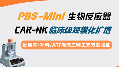 垂直轮生物反应器CAR-NK规模化扩增工艺研究