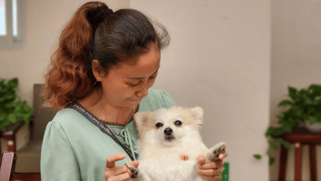 孕期，真的要把宠物送走吗？别急着下结论