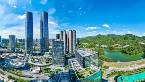 深圳：未来城市的“龙岗样态”