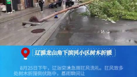 内容配图