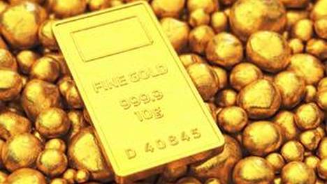 小狗洗澡当晚才会有的顶级待遇