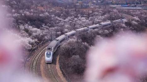 明后两天丰沙线、京通线、S2线等线路部分列车停运