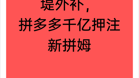 堤内损失堤外补，拼多多千亿押注新拼姆