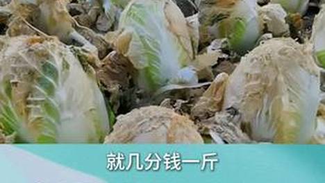 内容配图