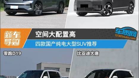 空间大配置高 四款国产纯电大型SUV推荐