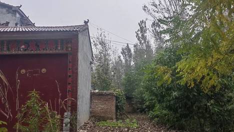 老家河南：农村另一隐藏的挣钱行业，大概很多人没有注意到，人才缺口还挺大呢