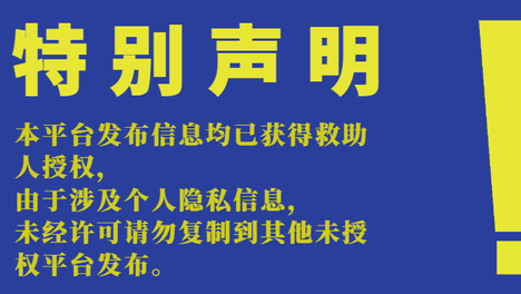选择买不到的爱|20260817期线上领养日