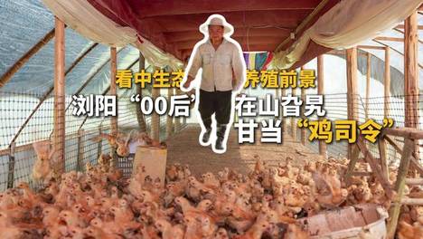 内容配图