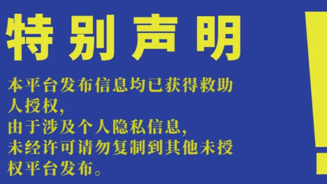 选择买不到的爱|20261008期线上领养日