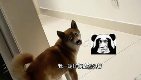 内容配图