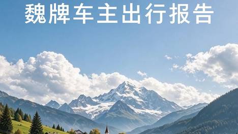 魏牌车主双节出行报告上线，请查收~