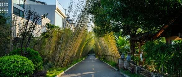 粉色小兵王曼昱