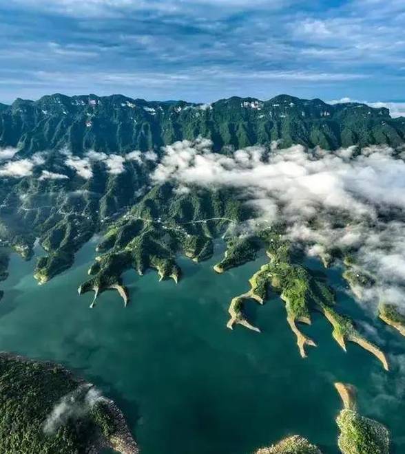 湖北：长阳清江含翠，“鸟中大熊猫”年年赴约