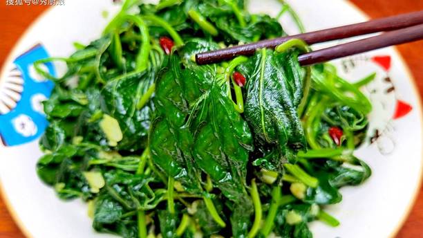 “入秋排毒，一年不堵”，9月多吃这3样“黄金菜”，润肺润燥，营养又便宜，鲜嫩正当季！