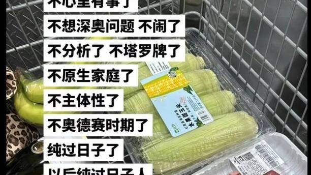 北上广中产最终归宿：纯过日子人