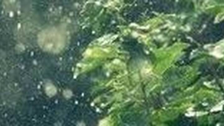 降雨持续，南阳部分地区大雨或暴雨！你感受到了吗？