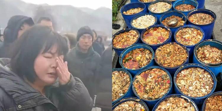 lol上票是什么梗