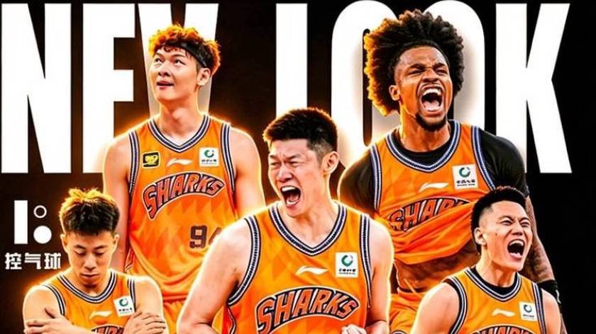上海男篮重磅签约完成，10+5国手锋线签约两年，胡金秋加盟只差官宣