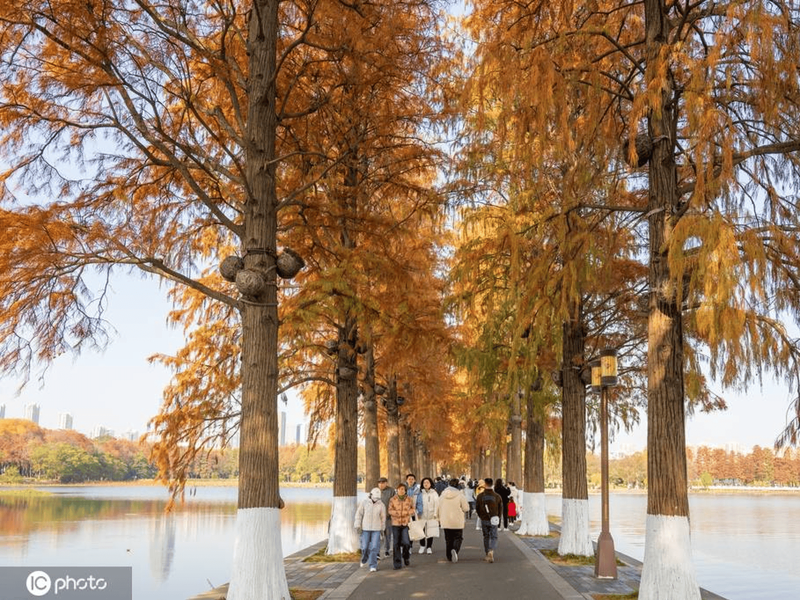 武汉:初冬暖阳 东湖风景区色彩斑斓风景怡人