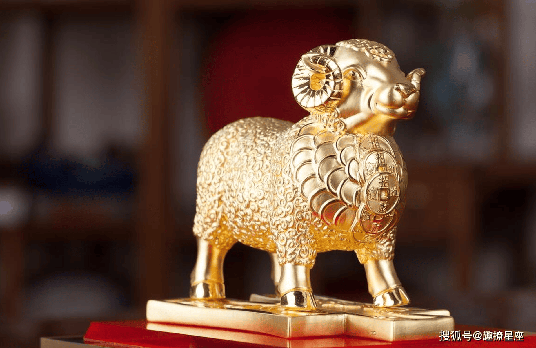 明日财运生肖运势图(明日财运生肖运势图片)