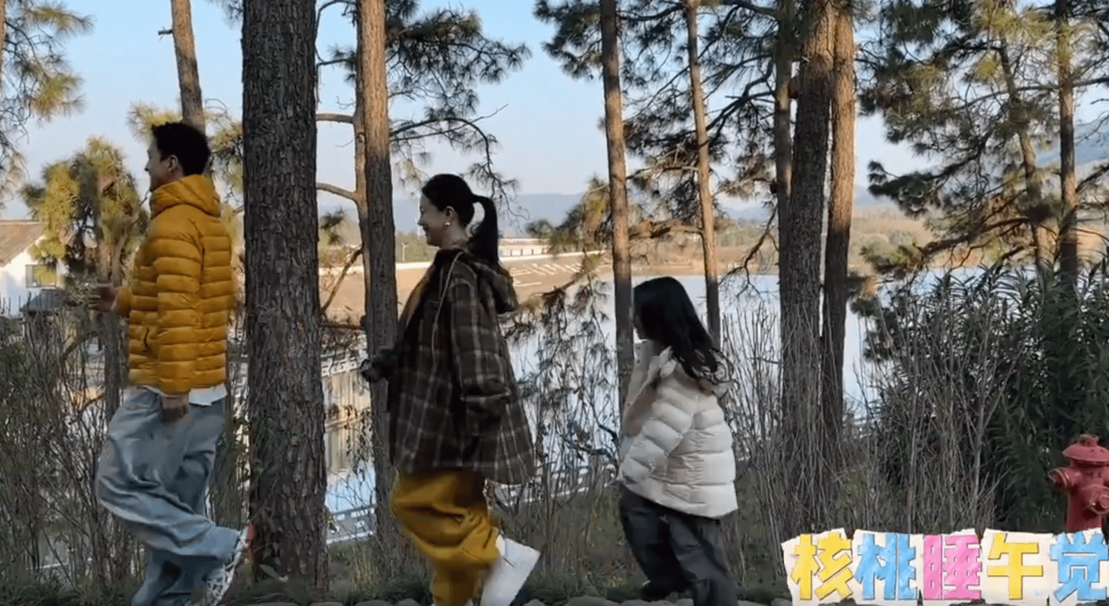 李嘉格与男友带孩子游玩 四人同框画面温馨