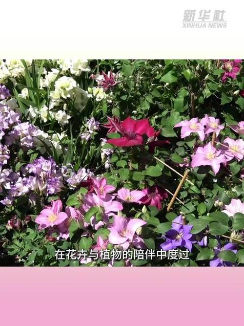 罗马举办春季园艺活动聚焦绿色与可持续