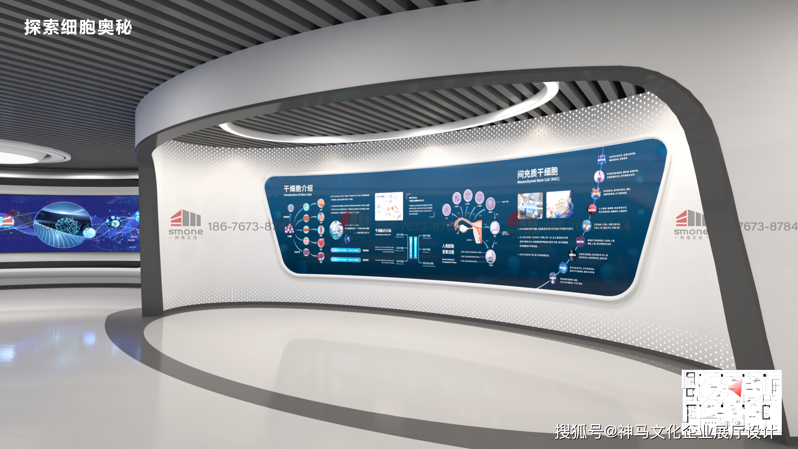 干细胞科普展厅|神马文化展厅设计_参观者_互动性_数字