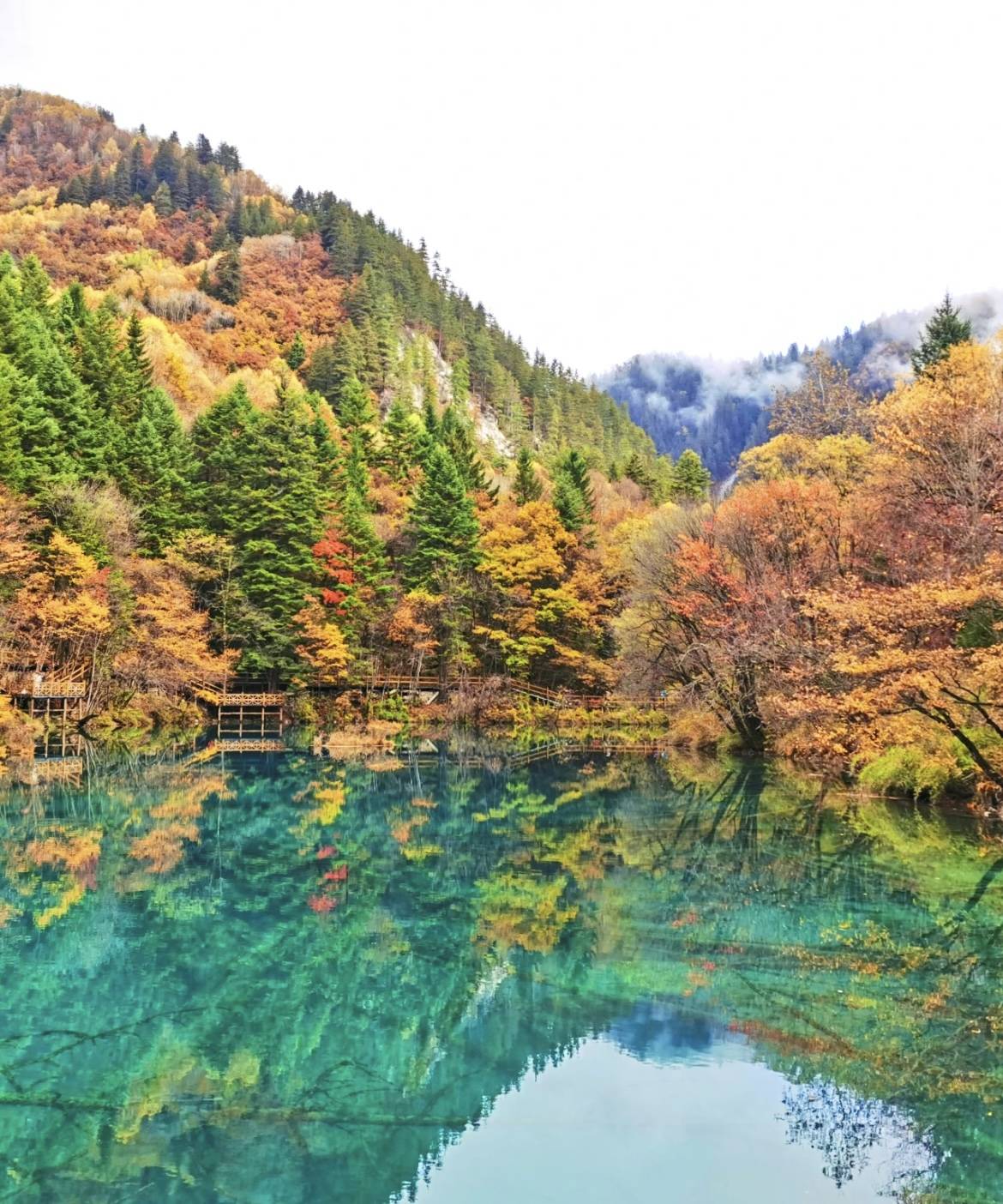 在四川青旅天府第二分社的陪伴下,你的旅遊體驗將變得更加愉快,難忘.