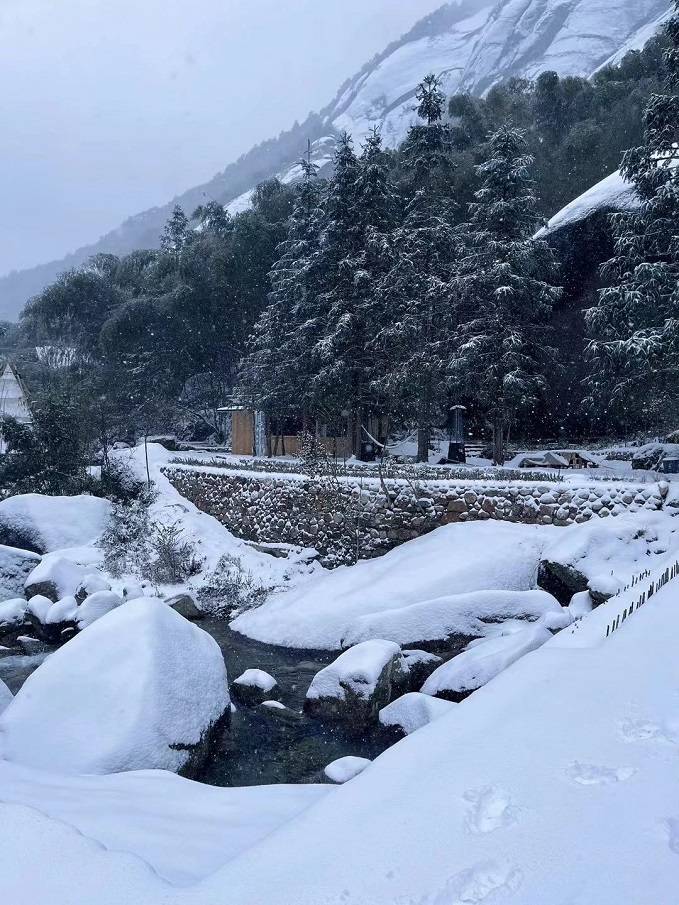 桂林资源县迎来2024年第一场雪_雪景_雾凇_资江