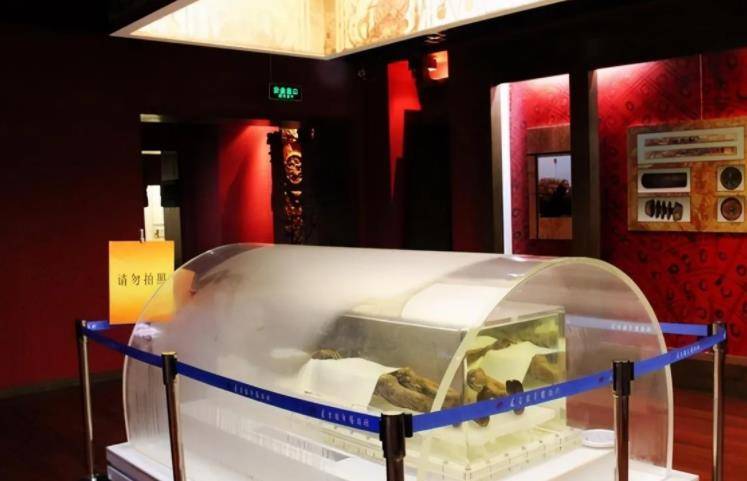 得到药剂配方的连云港博物馆,立刻行动起来,买药的买药,准备容器的