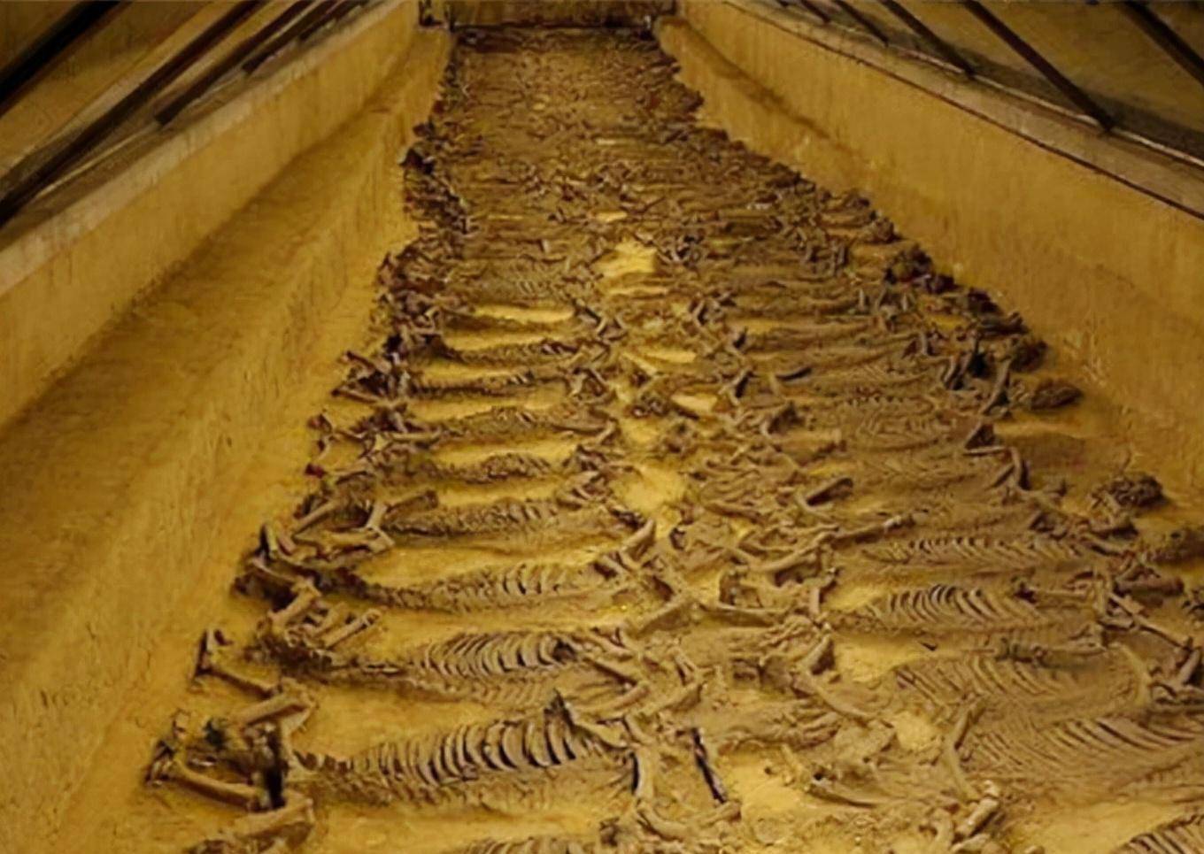 春秋时期的晋幽公墓中也发现许多殉葬者,他们姿势各异,有站着有坐着