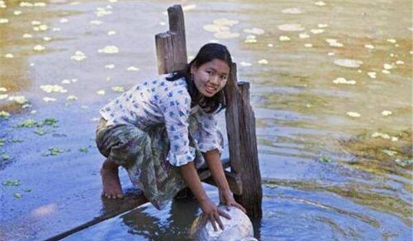 缅甸四姐毒枭图片