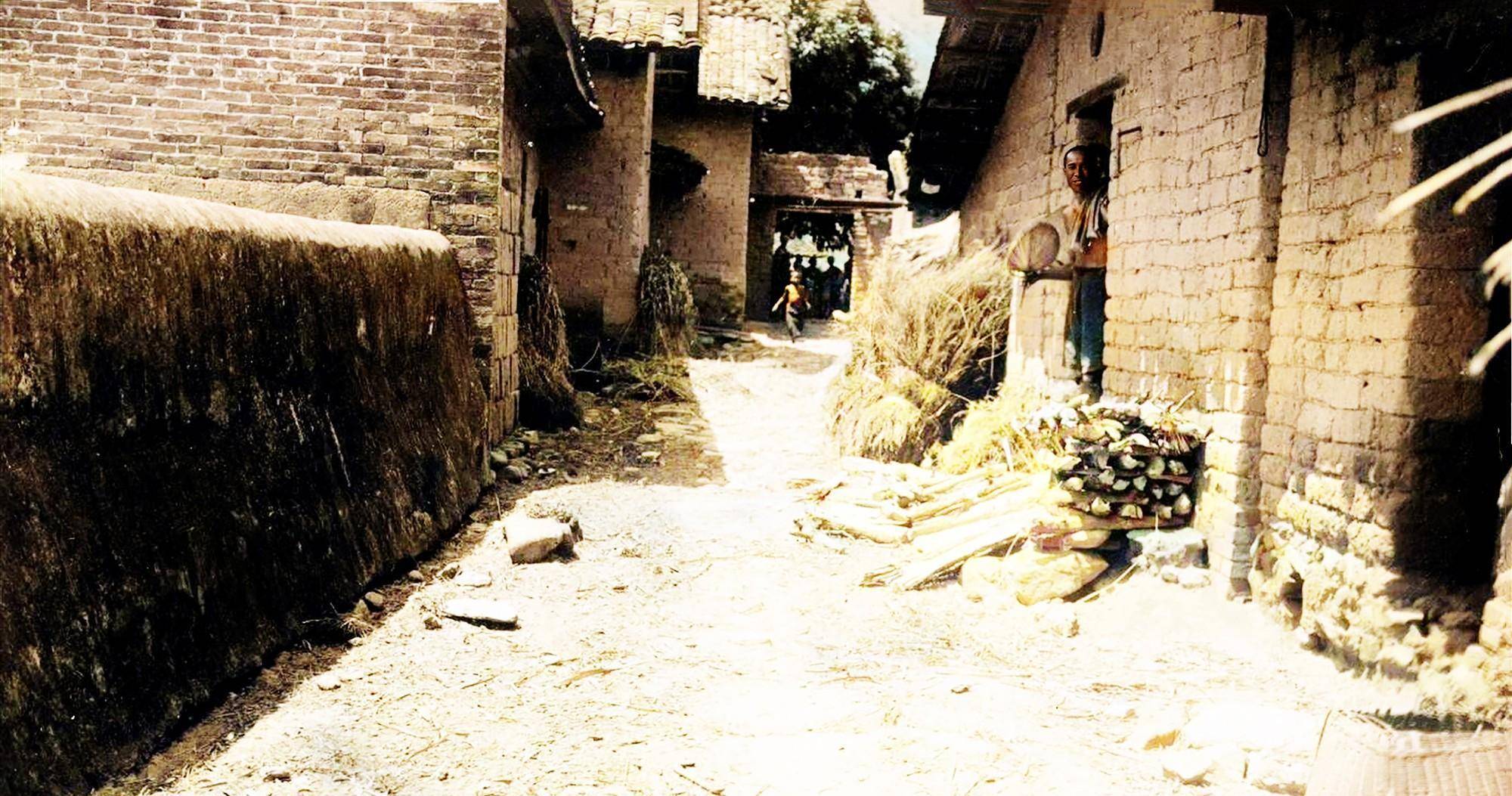 1935年的广东罗定,文塔顶长着两棵小树,妇人遇土匪留下恐怖伤疤_孩子